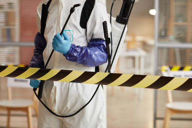 Professional Sewage Cleanup technician working in Logan, OH